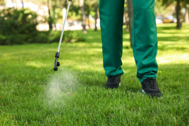 Best Cockroach Control Services  in Calhoun City, MS
