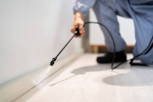 Best Pest Removal Services  in Calhoun City, MS