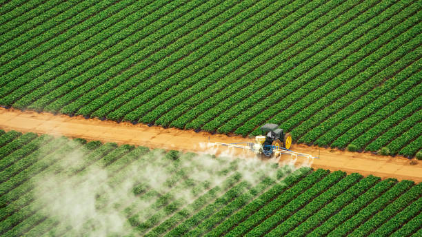 Best Commercial Pest Control Services  in Calhoun City, MS